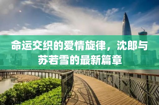命运交织的爱情旋律，沈郎与苏若雪的最新篇章