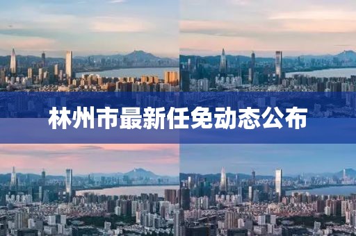 林州市最新任免动态公布
