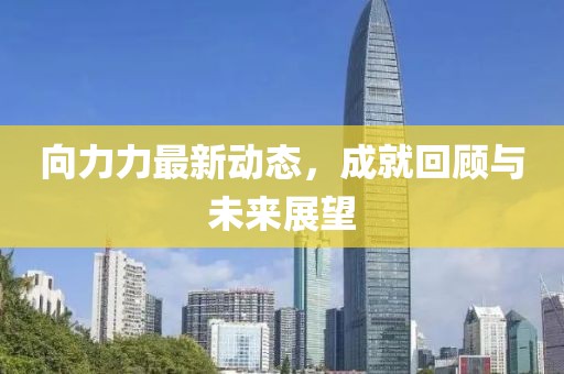 向力力最新动态，成就回顾与未来展望