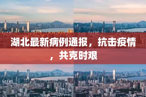 湖北最新病例通报，抗击疫情，共克时艰