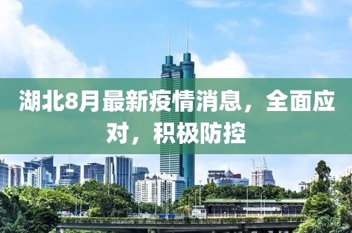 湖北8月最新疫情消息，全面应对，积极防控