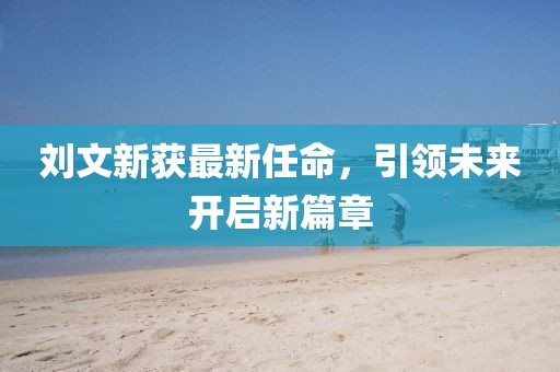 刘文新获最新任命，引领未来开启新篇章