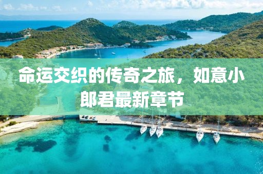 命运交织的传奇之旅，如意小郎君最新章节