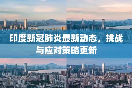 印度新冠肺炎最新动态，挑战与应对策略更新