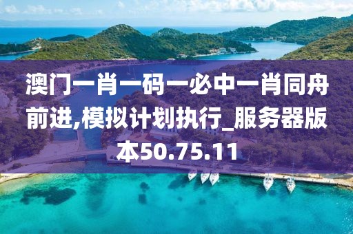 澳门一肖一码一必中一肖同舟前进,模拟计划执行_服务器版本50.75.11