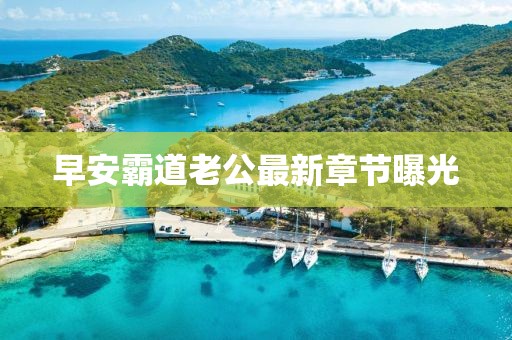早安霸道老公最新章节曝光