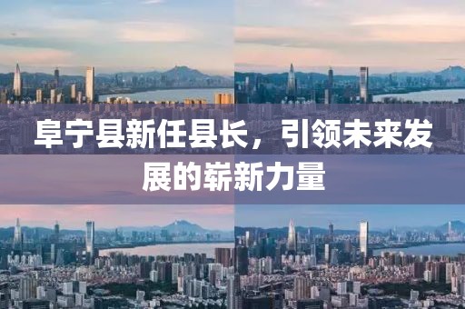 阜宁县新任县长，引领未来发展的崭新力量