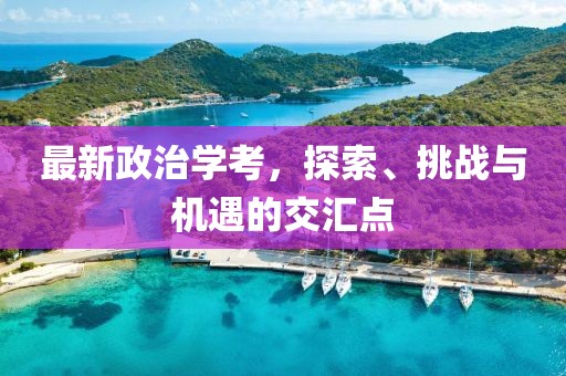 最新政治学考，探索、挑战与机遇的交汇点