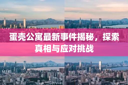 蛋壳公寓最新事件揭秘，探索真相与应对挑战