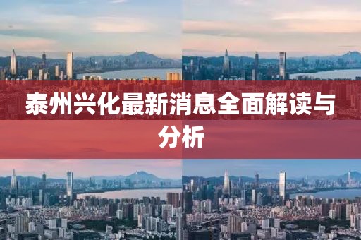 泰州兴化最新消息全面解读与分析