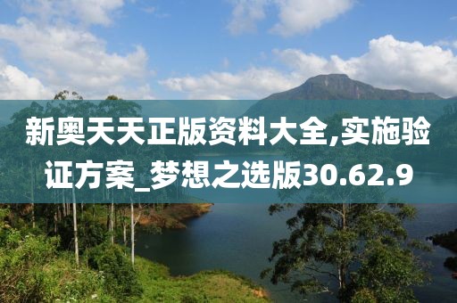 新奥天天正版资料大全,实施验证方案_梦想之选版30.62.9