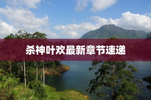 杀神叶欢最新章节速递