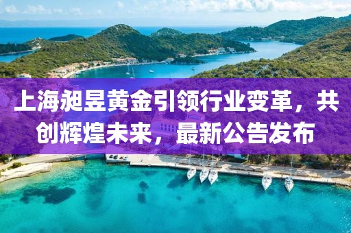 上海昶昱黄金引领行业变革，共创辉煌未来，最新公告发布