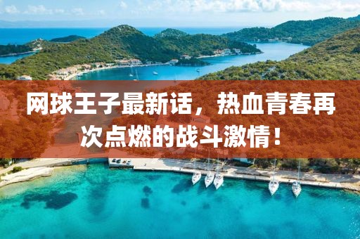 网球王子最新话，热血青春再次点燃的战斗激情！