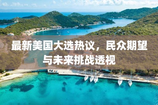 最新美国大选热议，民众期望与未来挑战透视
