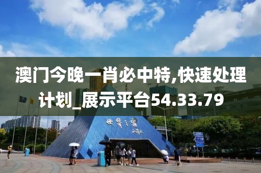 澳门今晚一肖必中特,快速处理计划_展示平台54.33.79