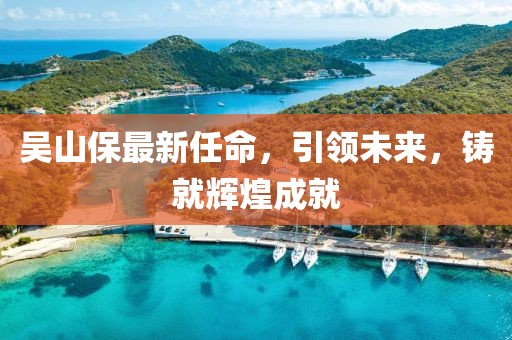 吴山保最新任命，引领未来，铸就辉煌成就