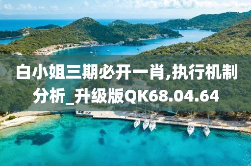 白小姐三期必开一肖,执行机制分析_升级版QK68.04.64