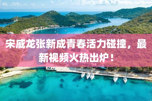 宋威龙张新成青春活力碰撞，最新视频火热出炉！