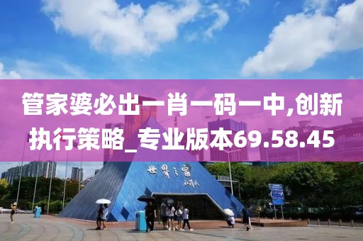 管家婆必出一肖一码一中,创新执行策略_专业版本69.58.45