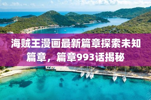 海贼王漫画最新篇章探索未知篇章，篇章993话揭秘