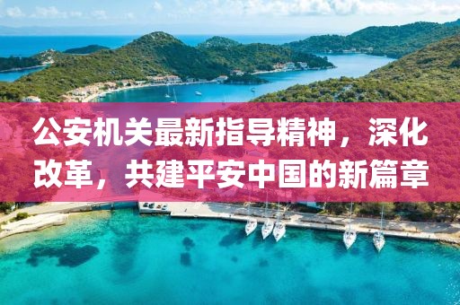 公安机关最新指导精神，深化改革，共建平安中国的新篇章