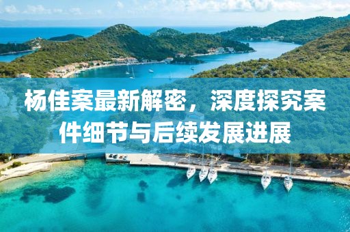 杨佳案最新解密，深度探究案件细节与后续发展进展