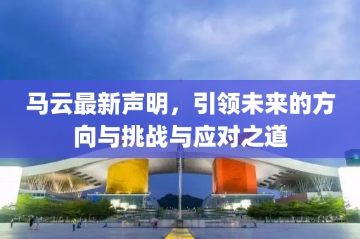 马云最新声明，引领未来的方向与挑战与应对之道
