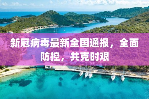 新冠病毒最新全国通报，全面防控，共克时艰