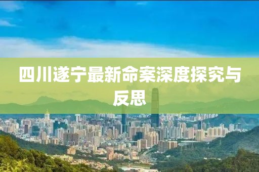 四川遂宁最新命案深度探究与反思