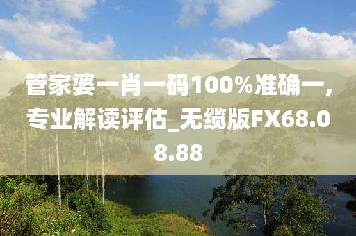 管家婆一肖一码100%准确一,专业解读评估_无缆版FX68.08.88