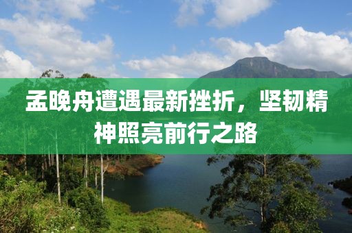 孟晚舟遭遇最新挫折，坚韧精神照亮前行之路