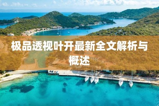 极品透视叶开最新全文解析与概述