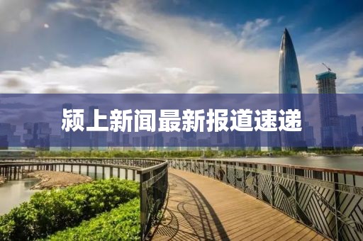 颍上新闻最新报道速递