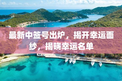 最新中签号出炉，揭开幸运面纱，揭晓幸运名单