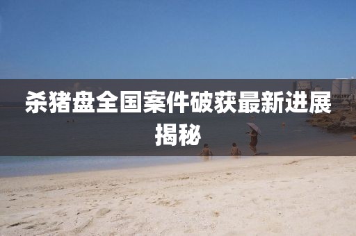杀猪盘全国案件破获最新进展揭秘