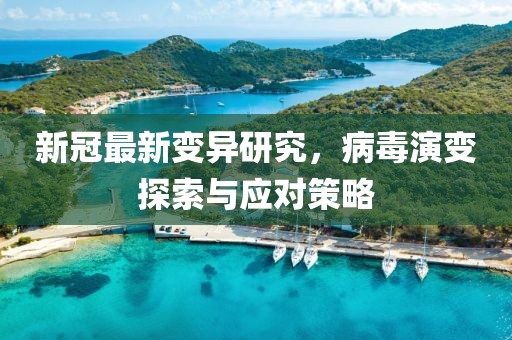 新冠最新变异研究，病毒演变探索与应对策略