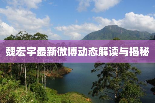 魏宏宇最新微博动态解读与揭秘