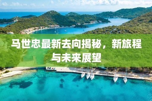 马世忠最新去向揭秘，新旅程与未来展望