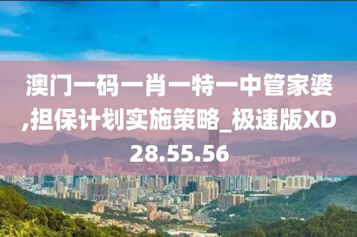 澳门一码一肖一特一中管家婆,担保计划实施策略_极速版XD28.55.56