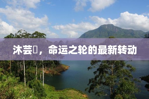 沐芸婳，命运之轮的最新转动