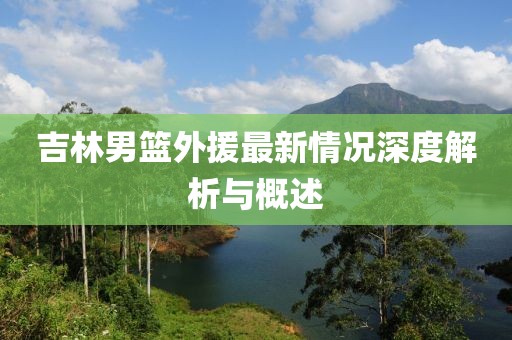 吉林男篮外援最新情况深度解析与概述