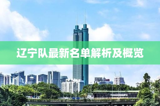 辽宁队最新名单解析及概览