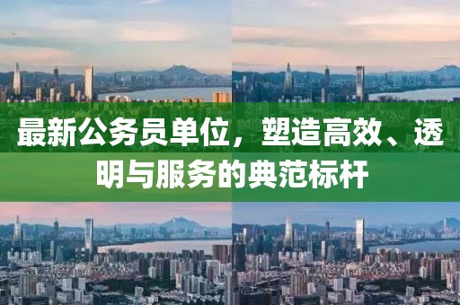 最新公务员单位，塑造高效、透明与服务的典范标杆