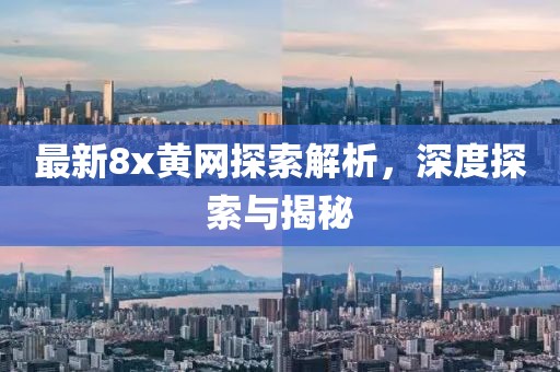最新8x黄网探索解析，深度探索与揭秘