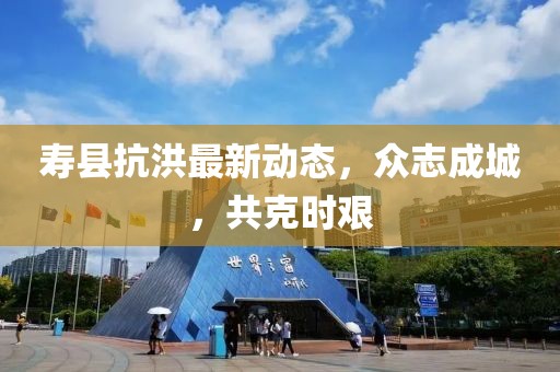 寿县抗洪最新动态，众志成城，共克时艰