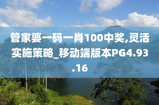 管家婆一码一肖100中奖,灵活实施策略_移动端版本PG4.93.16