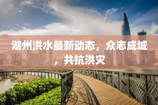 湖州洪水最新动态，众志成城，共抗洪灾
