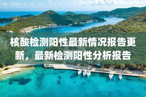 核酸检测阳性最新情况报告更新，最新检测阳性分析报告