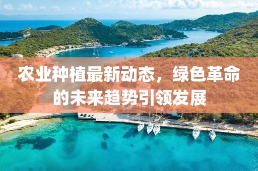 农业种植最新动态，绿色革命的未来趋势引领发展